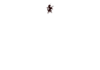 http://checkthis.com