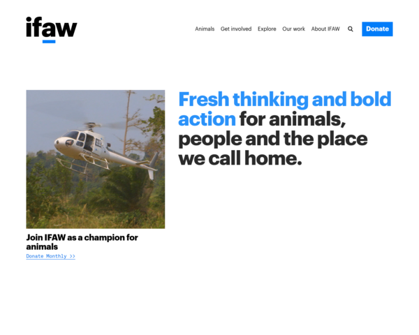 http://www.ifaw.org