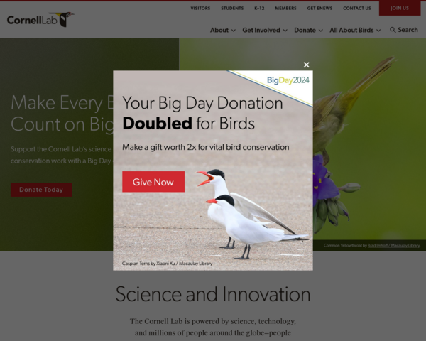 http://www.birds.cornell.edu