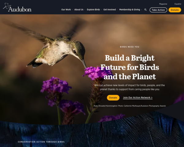 http://www.audubon.org
