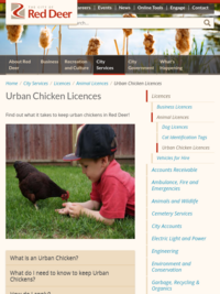 Urban Chicken Licences | City of Red Deer