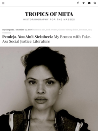 Pendeja, You Ain’t Steinbeck: My Bronca with Fake-Ass Social Justice Literature