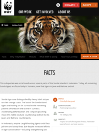 World Wildlife Fund - Sumatran Tiger