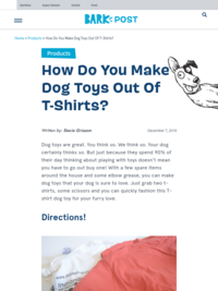 Activity: DIY Dog Toy