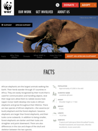 World Wildlife Fund: African Elephant