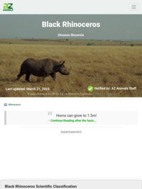 A-Z Animals: Black Rhinoceros