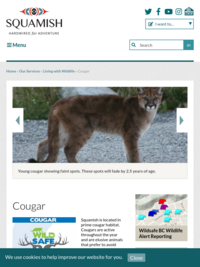 Cougar Awareness from District of Squamish
