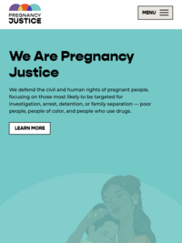 National Advocates for Pregnant Women (NAPW)