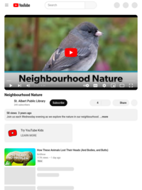 Neighbourhood Nature