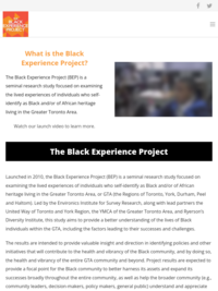 The Black Experience Project