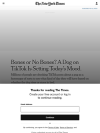 Bones or No Bones? A Dog on TikTok Is Setting Today’s Mood.