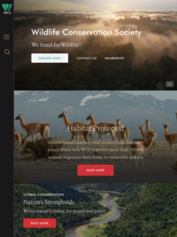 Conservation: Wildlife Conservation Society