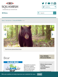 Bear Awareness from District of Squamish