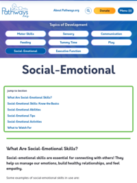 What Are Social-Emotional Skills?