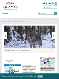 Coyote Awareness from District of Squamish