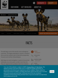 World Wildlife Fund: African Wild Dog