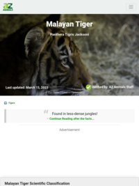 A-Z Animals Malayan Tigers