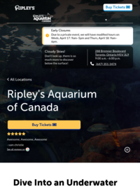 Ripley’s Aquarium of Canada’s Shark Tank