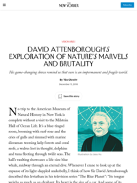 Téa Obreht's homage to David Attenborough in New Yorker Magazine December 11, 2016