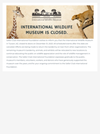 International Wildlife Museum Youth Camps