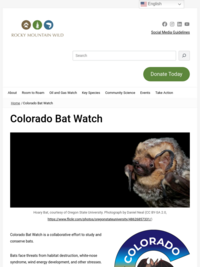 Colorado Bat Watch