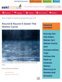 Round and Round It Goes! The Water Cycle