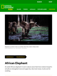 National Geographic Kids: African Elephant
