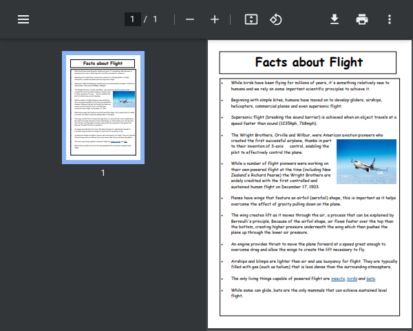 Facts about Flight