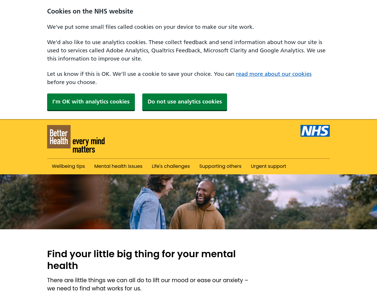 NHS Mental Health Support