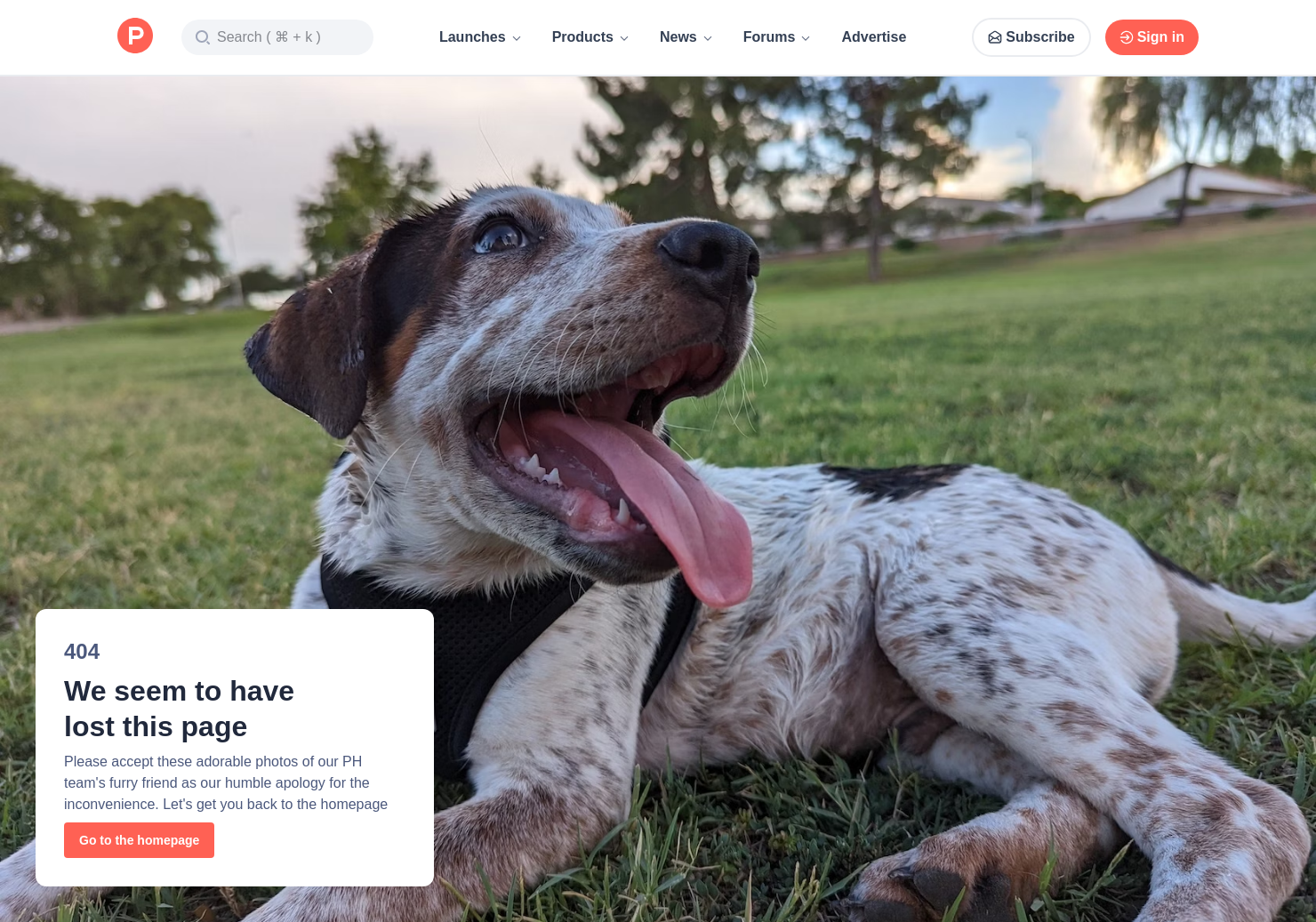 5 Alternatives To Agora Product Hunt - 