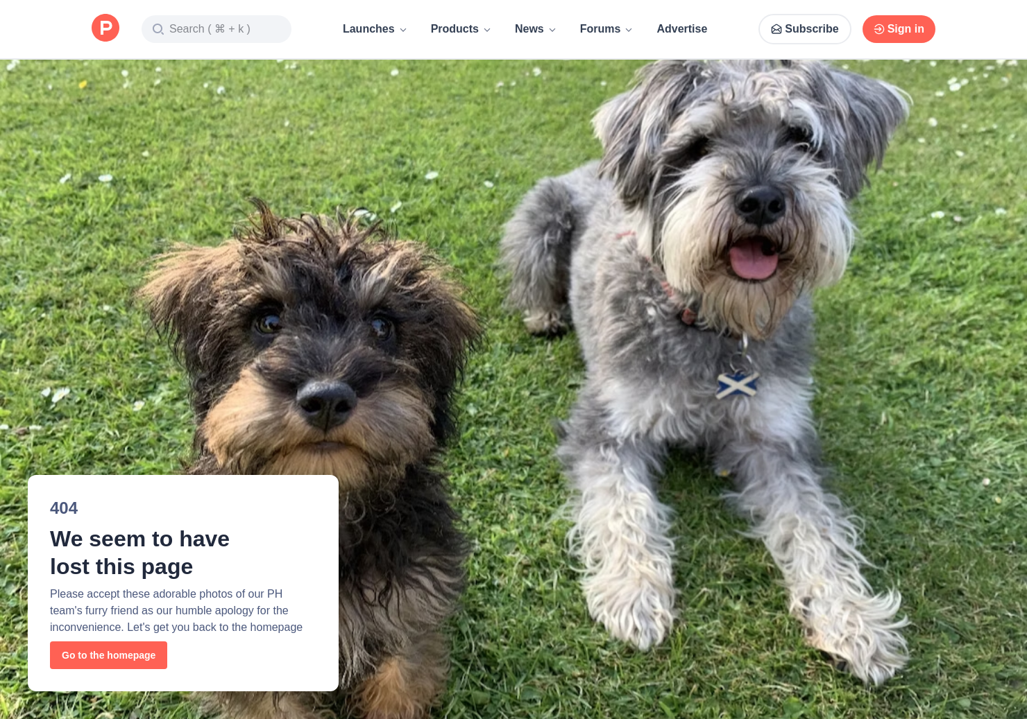 10 Alternatives To Promo Product Hunt