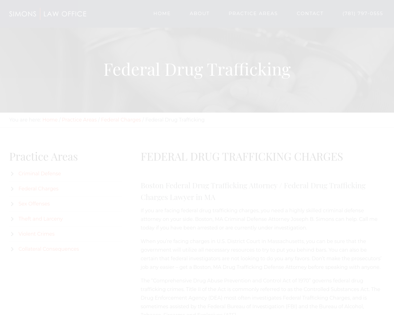 federaldrugdefenselawyer.com