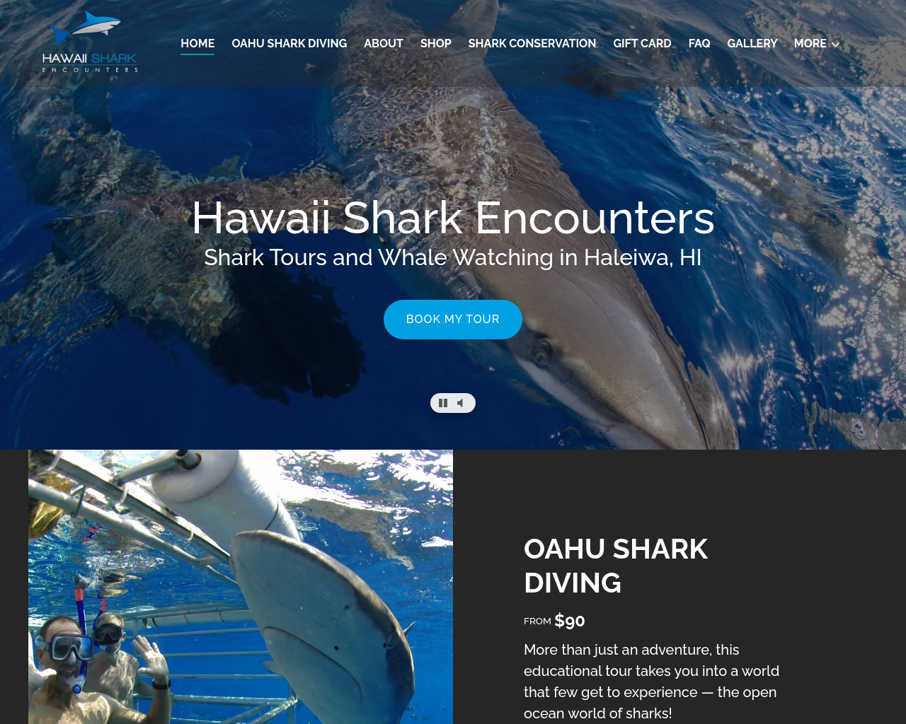 hawaiisharkencounters.com