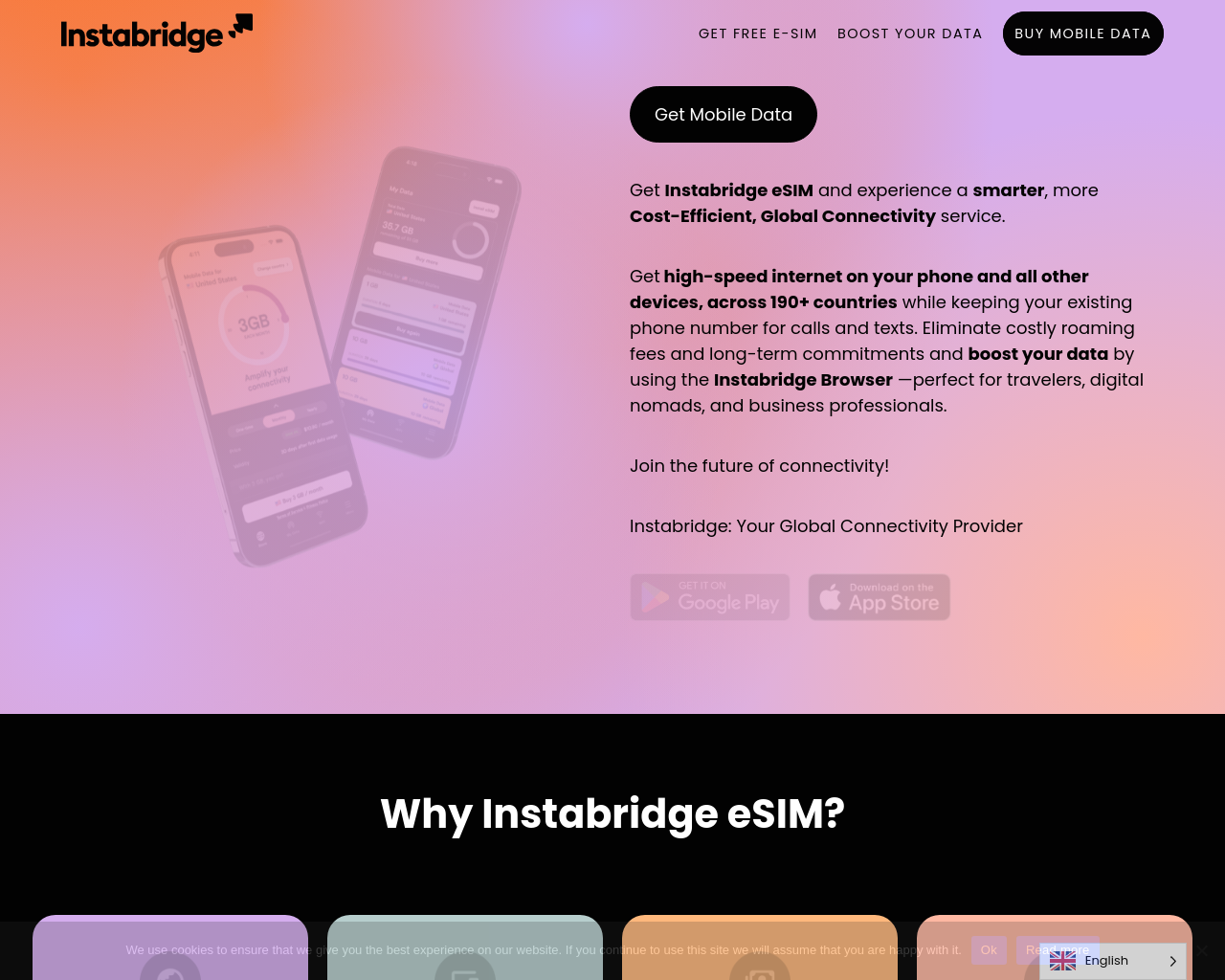 instabridge.com