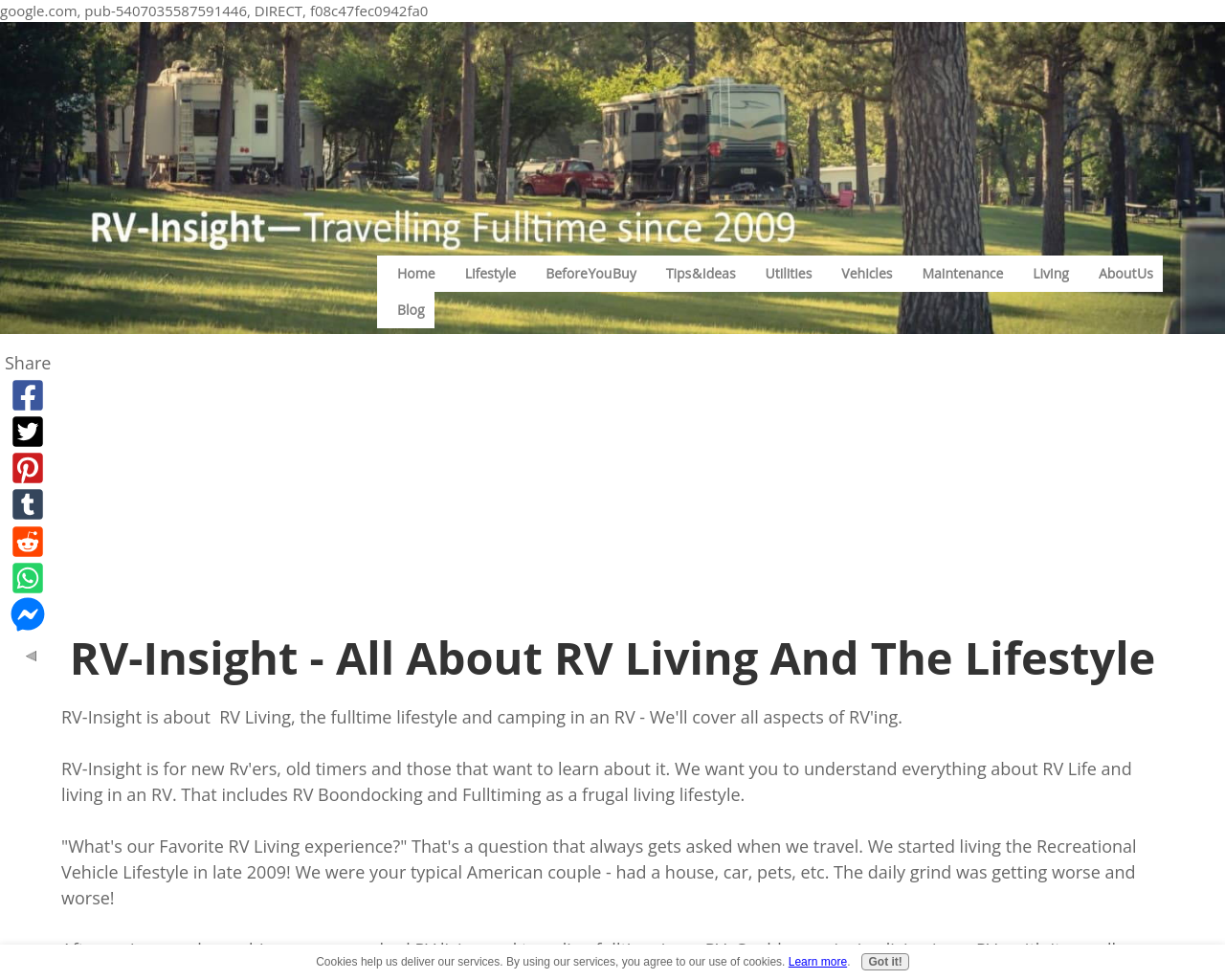 rv-insight.com