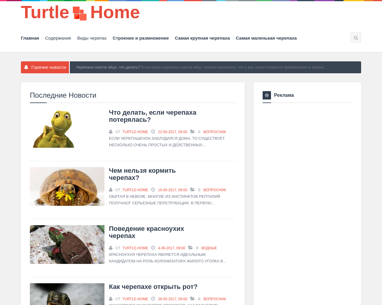 turtle-home.net