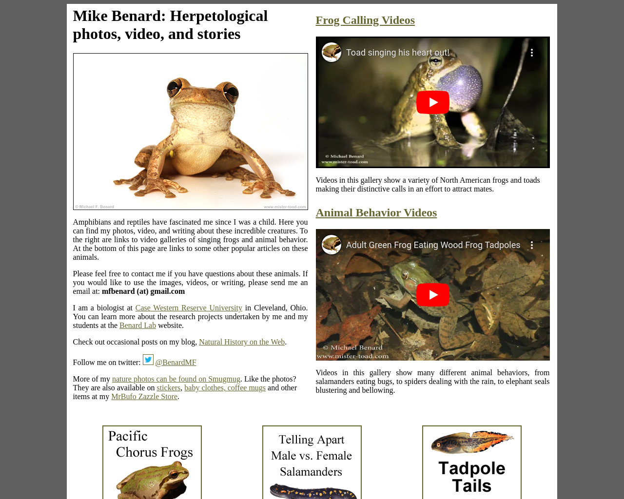 mister-toad.com