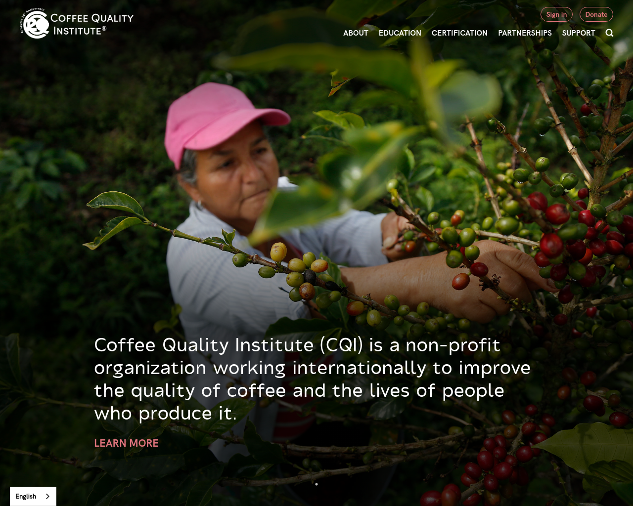 coffeeinstitute.org