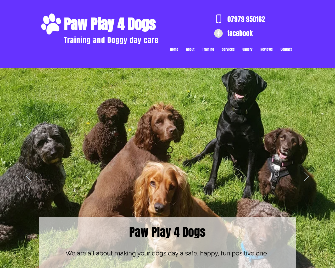 pawplay4dogs.co.uk