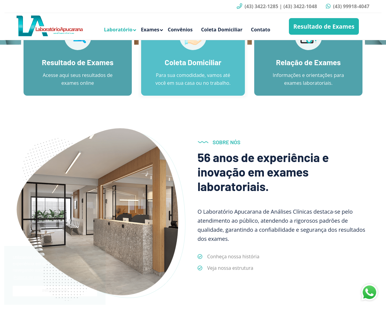 laboratorioapucarana.com.br