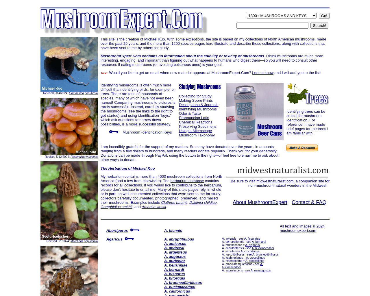 mushroomexpert.com