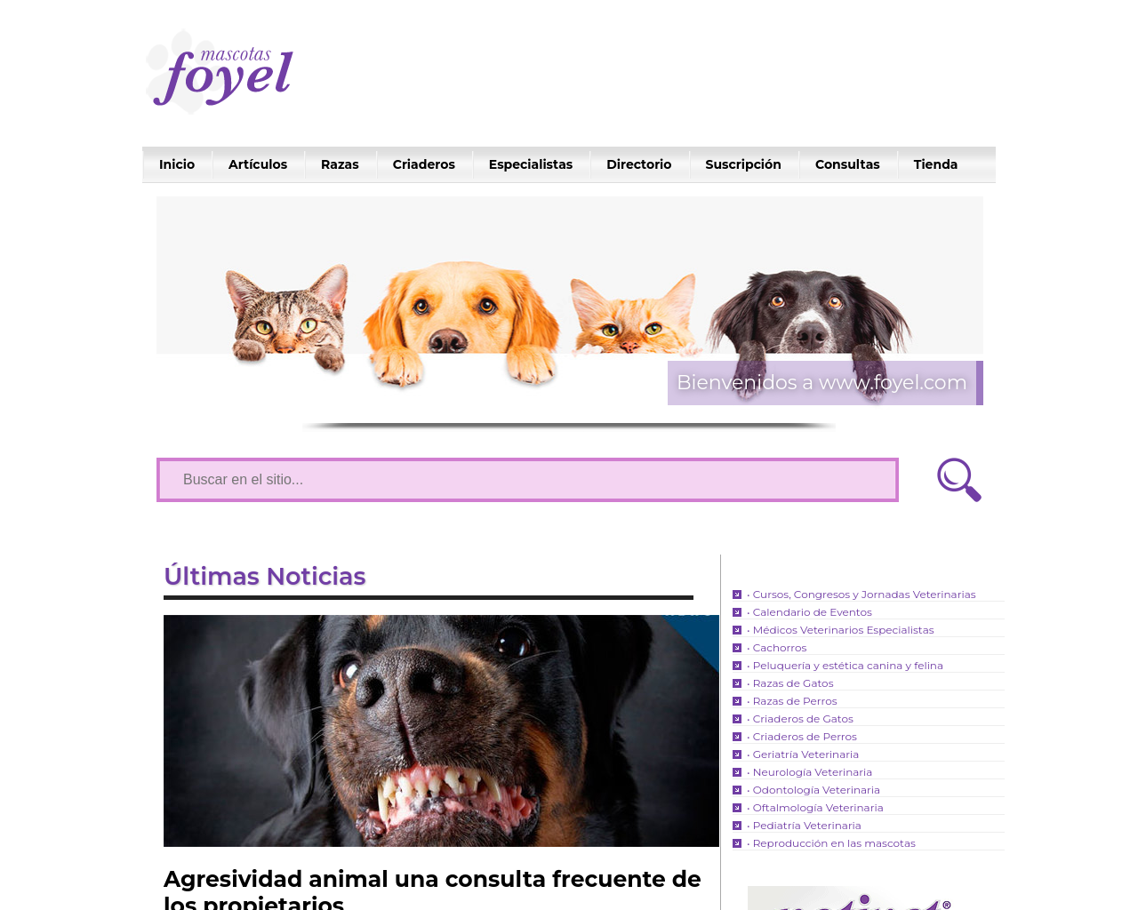 foyel.com