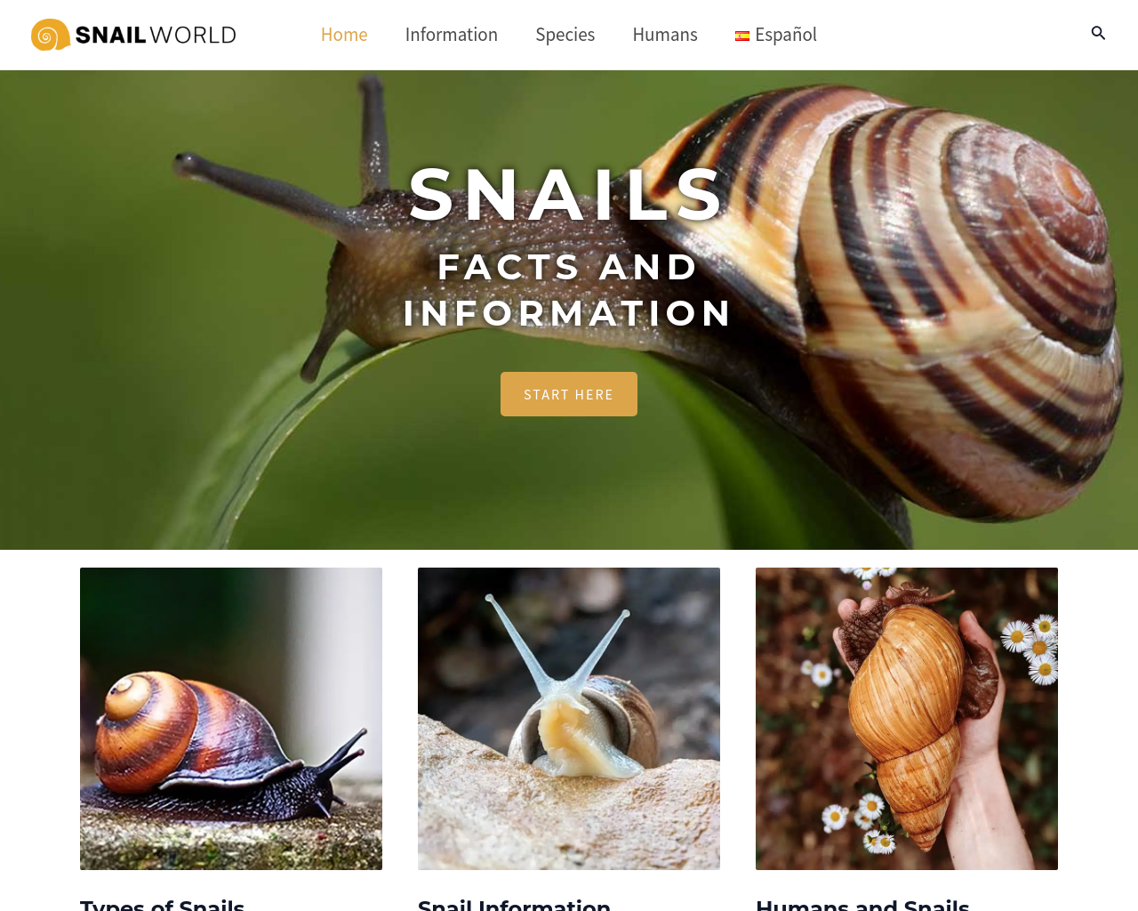 snail-world.com