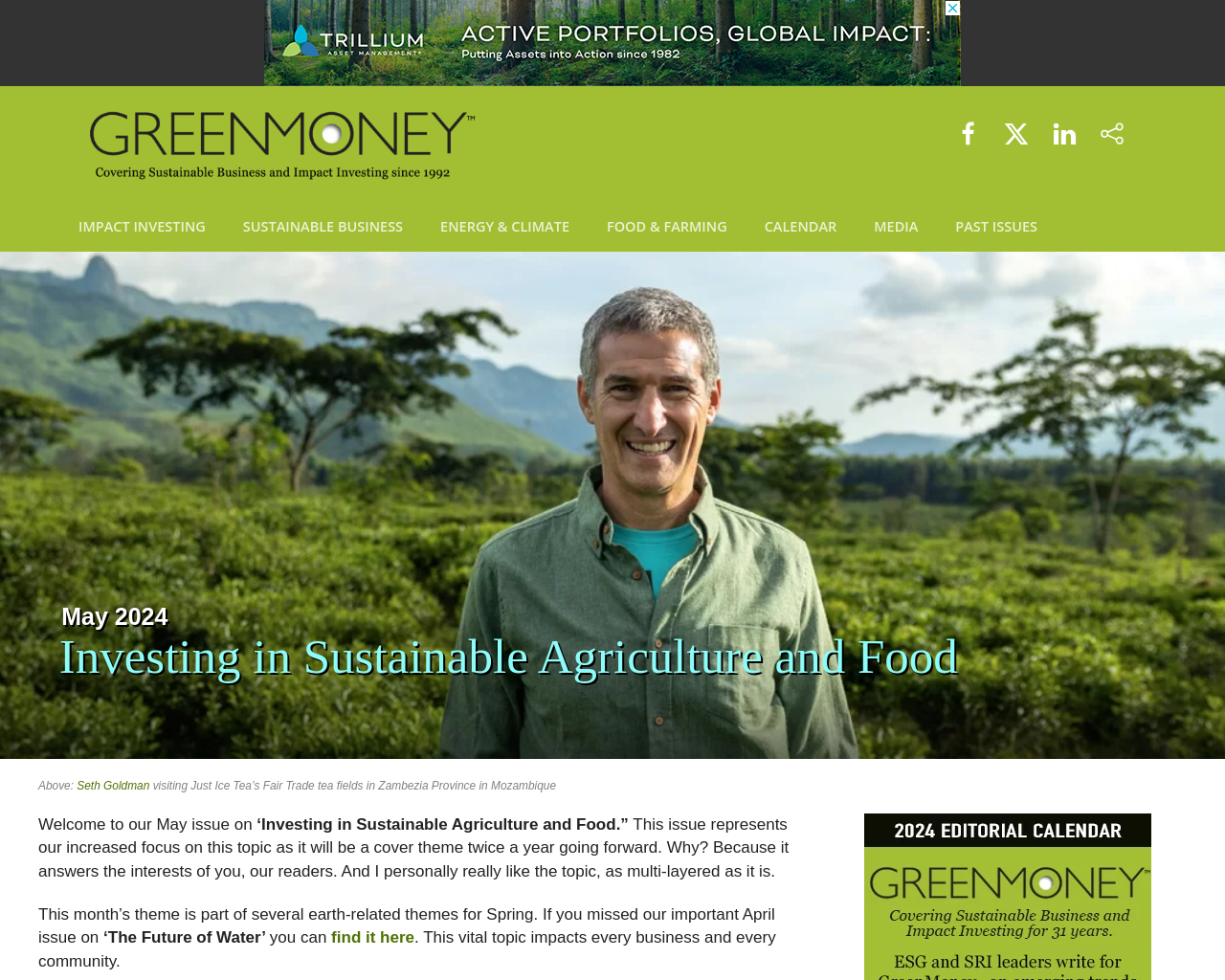 greenmoneyjournal.com