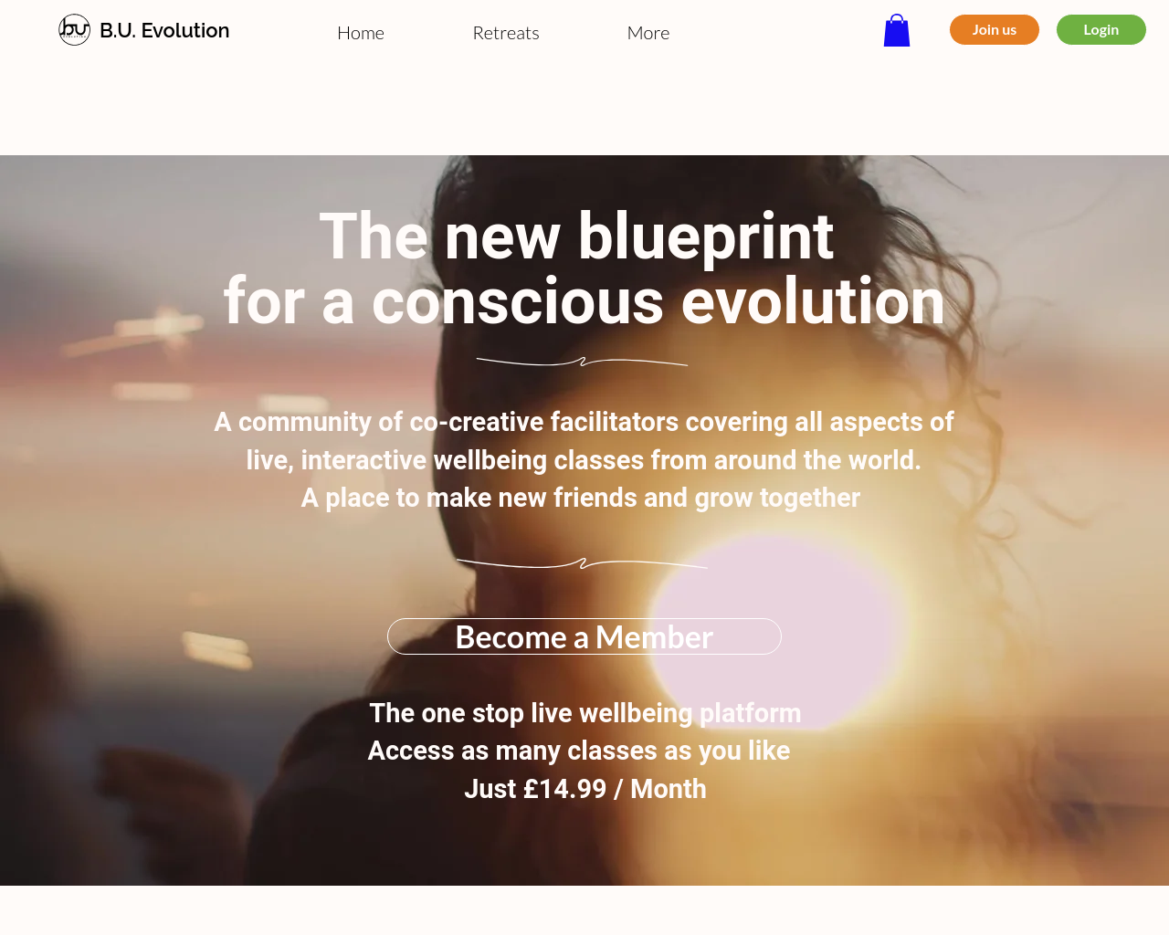 bu-evolution.com