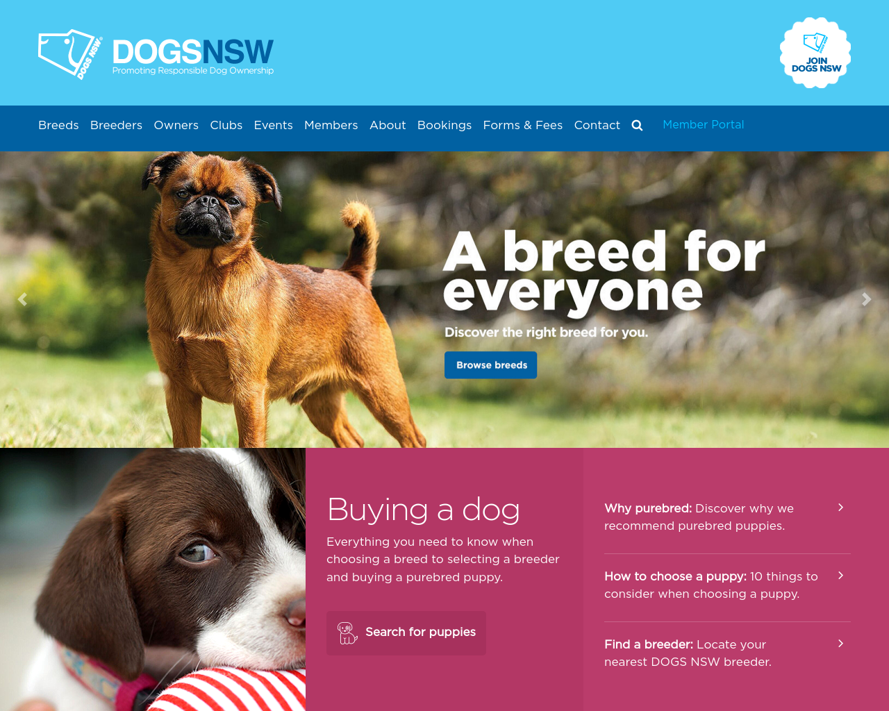 dogsnsw.org.au
