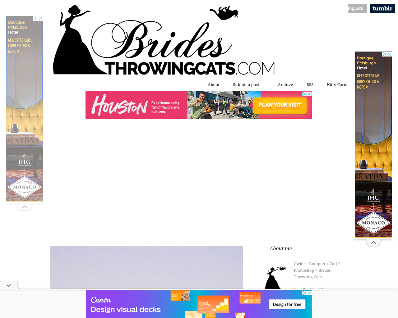 bridesthrowingcats.com