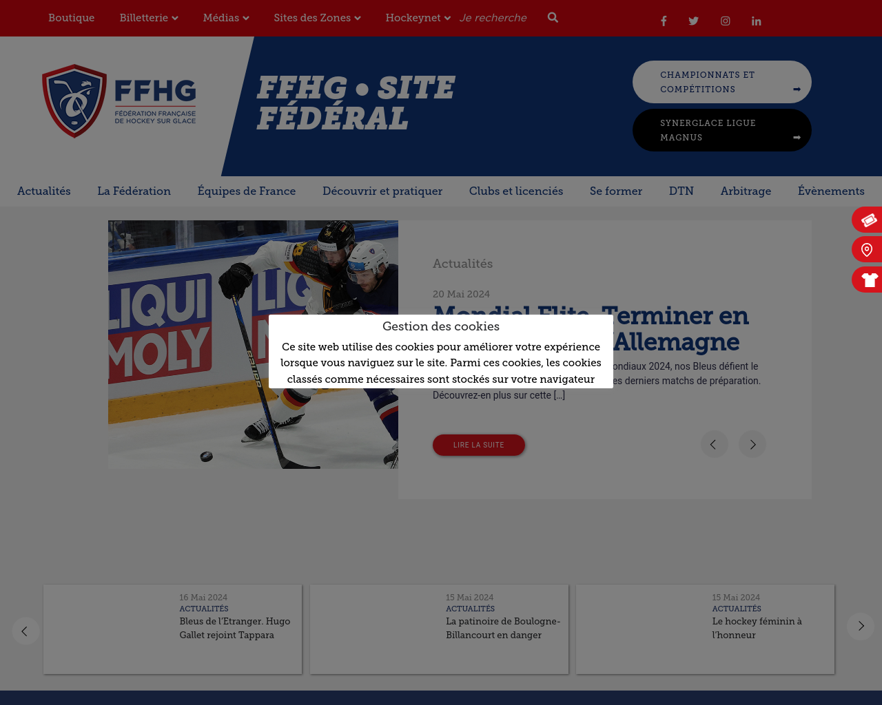 hockeyfrance.com