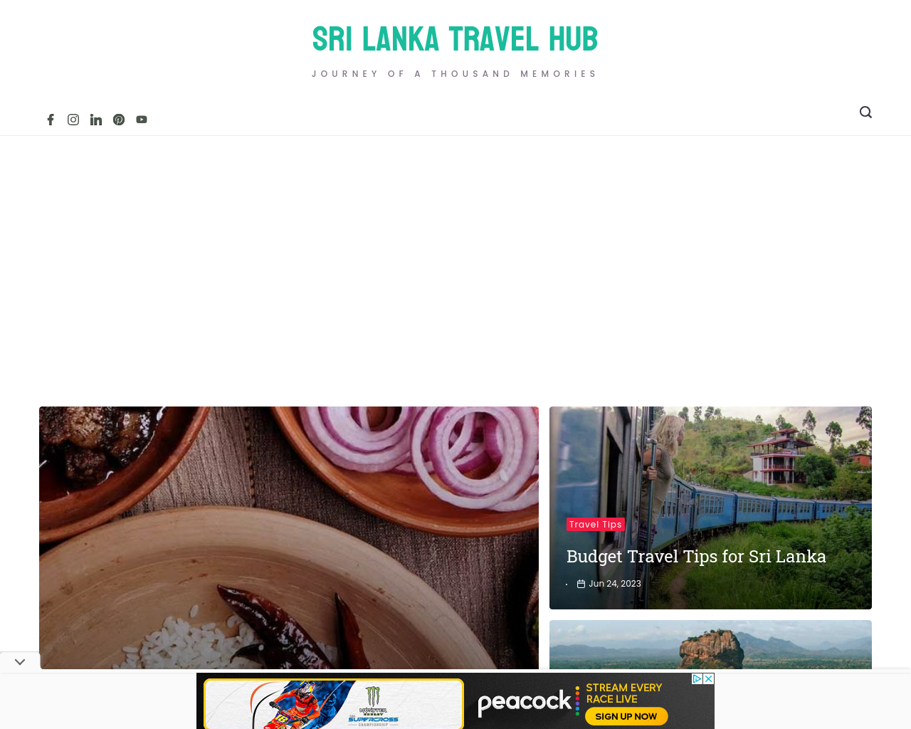 srilankatravelhub.com