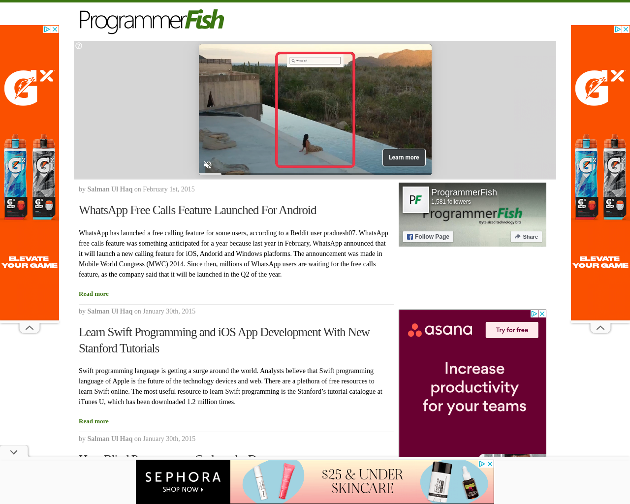 programmerfish.com